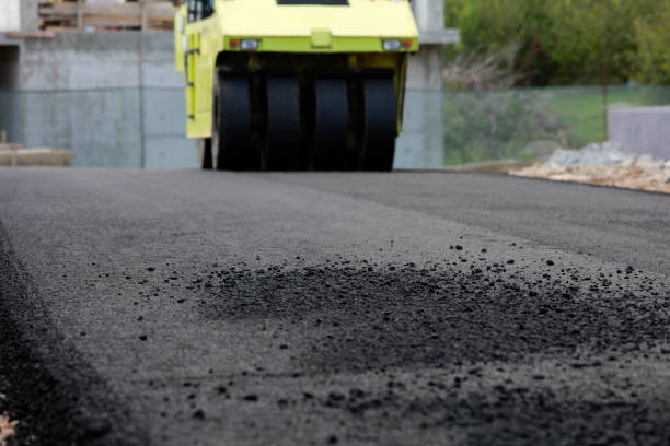 Best Driveway Pavers Near Me  in Mountain Lake Park, MD