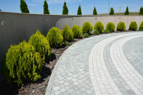 Best Affordable Driveway Pavers  in Mountain Lake Park, MD