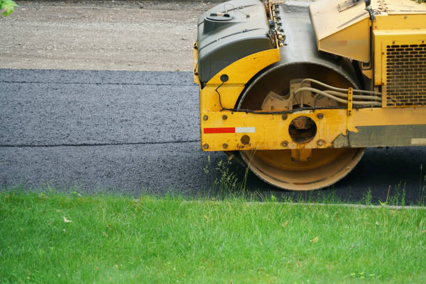 Best Local Driveway Pavers  in Mountain Lake Park, MD